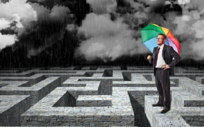 The Role of a DPO in Startup Growth and Investor Confidence